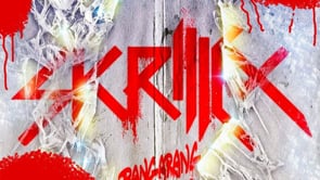 Skrillex - Bangarang